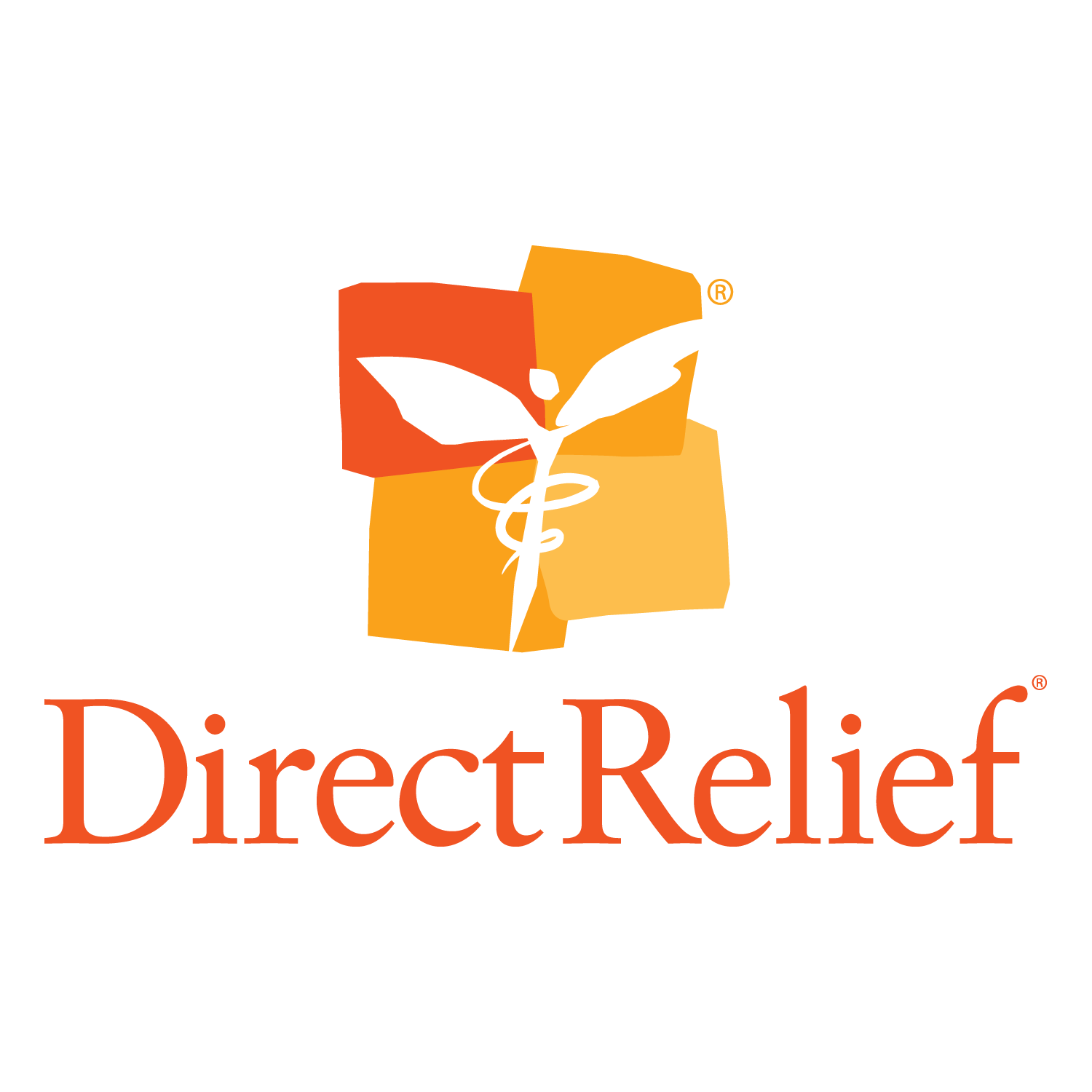 The Clara Lionel Foundation 2021 Annual Report